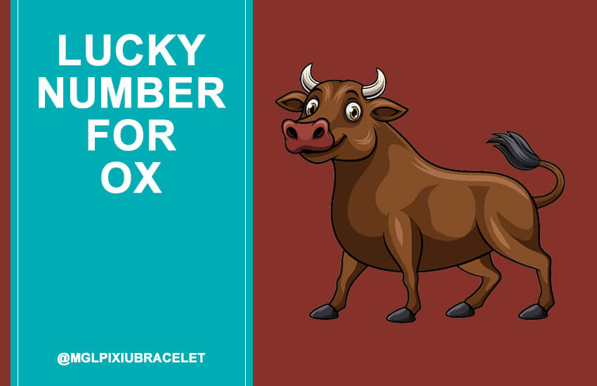 Featured Image-Lucky Number for Ox-850x550